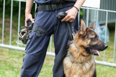 Hartford criminal defense lawyer