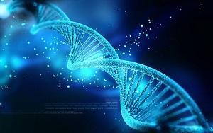 DNA, Hartford criminal defense lawyer