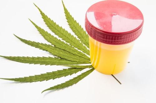 marijuana-medical-test-ruling